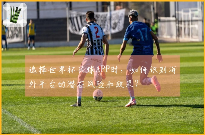 选择世界杯买球APP时，如何识别海外平台的潜在风险和效果？