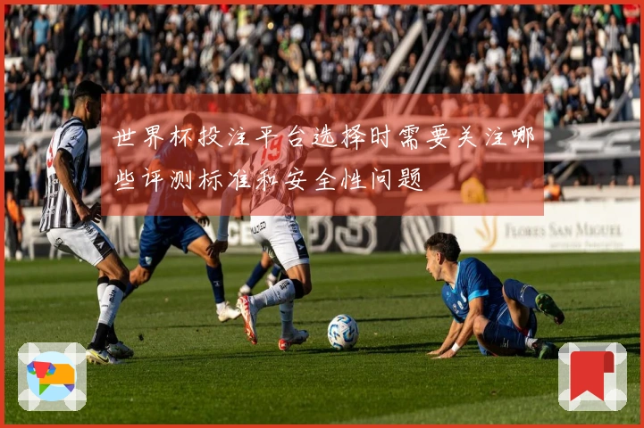 世界杯投注平台选择时需要关注哪些评测标准和安全性问题
