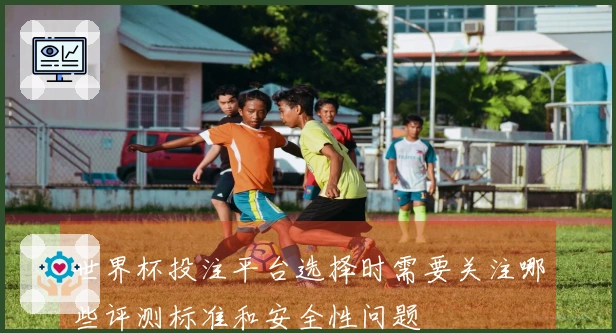 世界杯投注平台选择时需要关注哪些评测标准和安全性问题