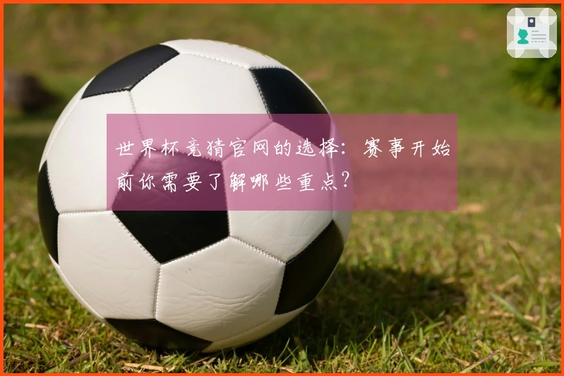 世界杯竞猜官网的选择：赛事开始前你需要了解哪些重点？