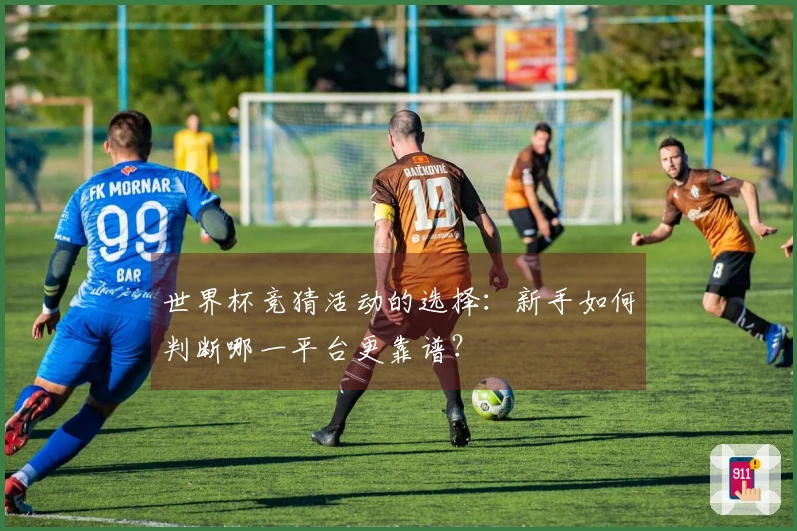 世界杯竞猜活动的选择：新手如何判断哪一平台更靠谱？