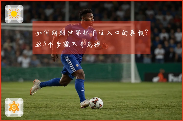 如何辨别世界杯下注入口的真假？这5个步骤不可忽视