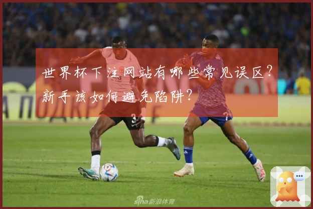 世界杯下注网站有哪些常见误区？新手该如何避免陷阱？