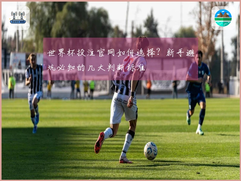 世界杯投注官网如何选择？新手避坑必知的几大判断标准