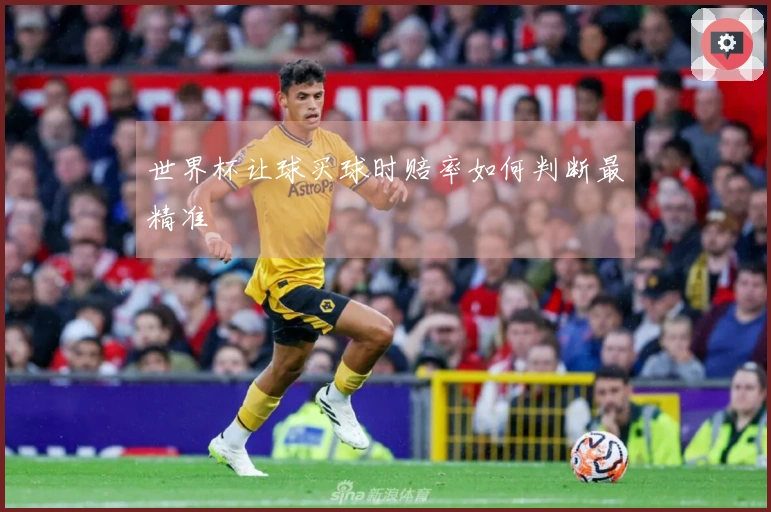 世界杯让球买球时赔率如何判断最精准
