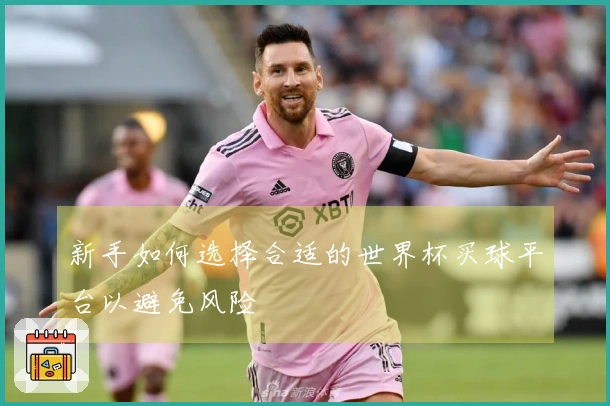 新手如何选择合适的世界杯买球平台以避免风险
